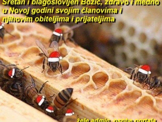 Čestitka 2020